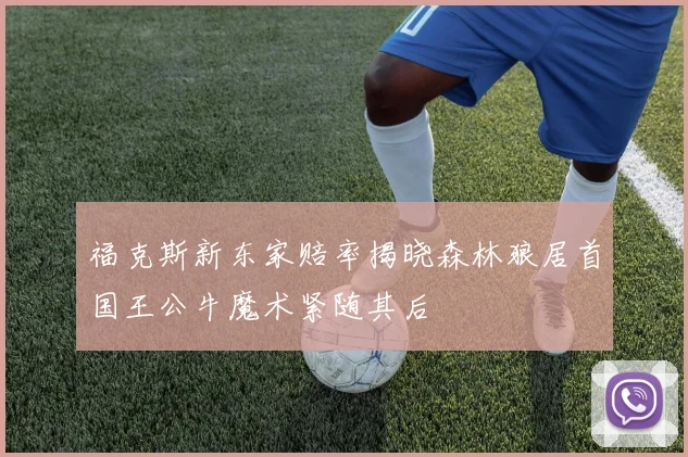 福克斯新东家赔率揭晓森林狼居首国王公牛魔术紧随其后